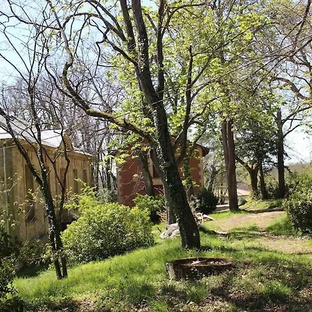 Domaine De Roquefalcou Willa