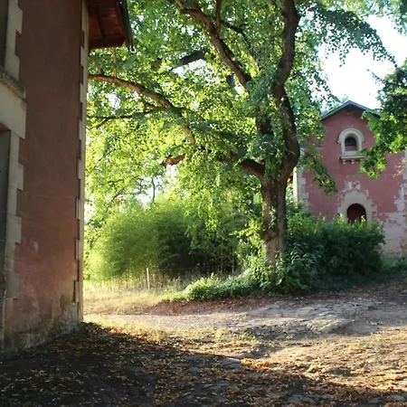 Domaine De Roquefalcou