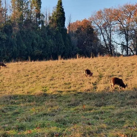 Willa Domaine De Roquefalcou Monsempron-Libos